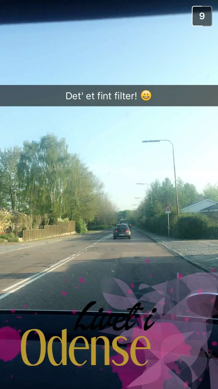 Odense geofilter