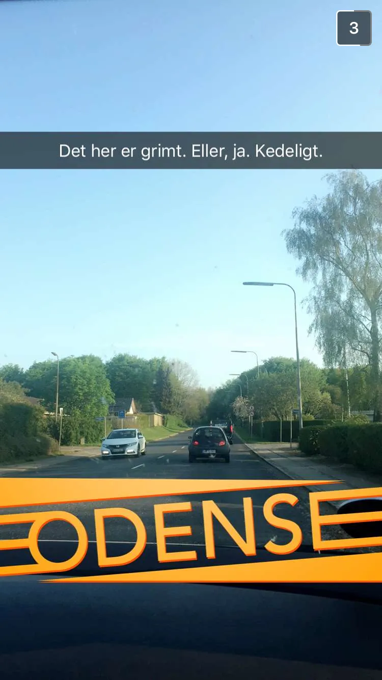 Odense geofilter