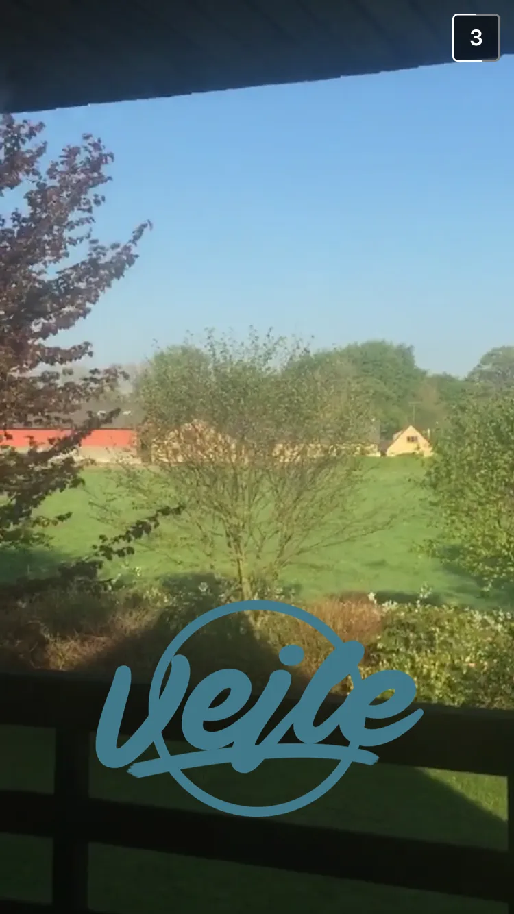 Vejle geofilter
