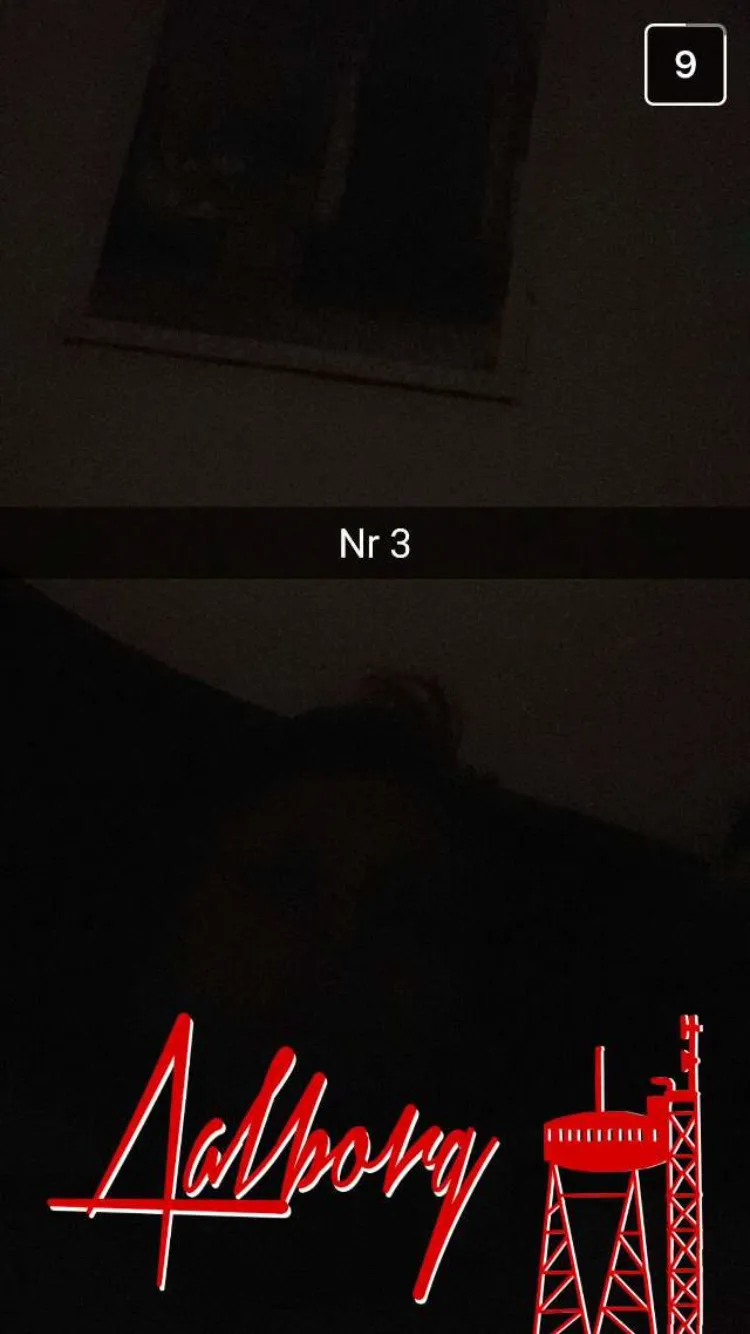 Aalborg geofilter