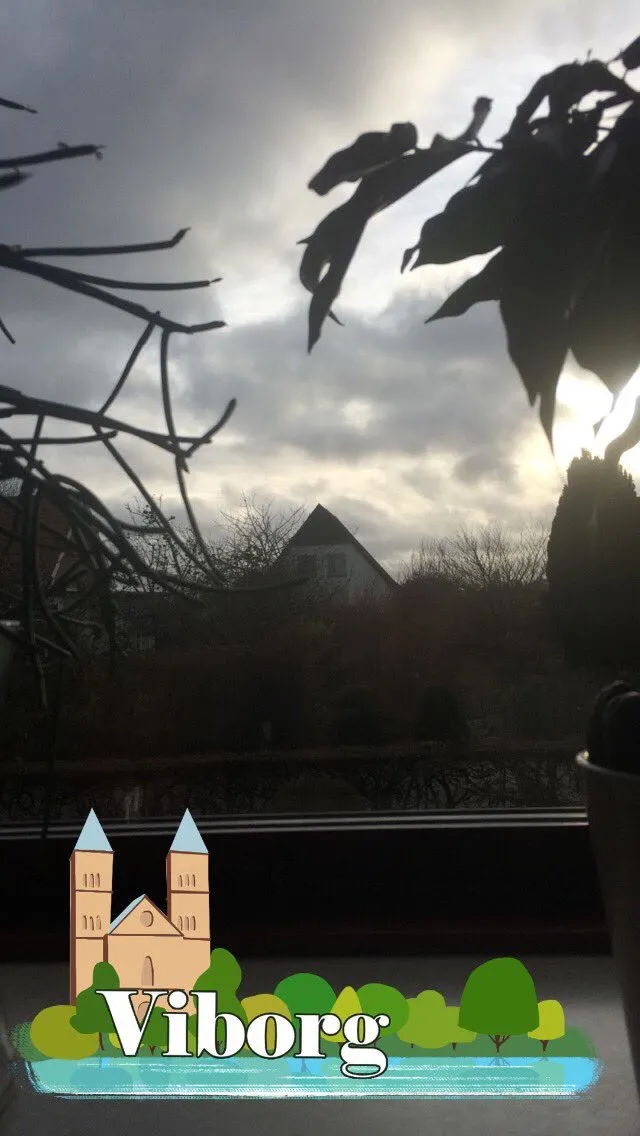 Viborg snapchat
