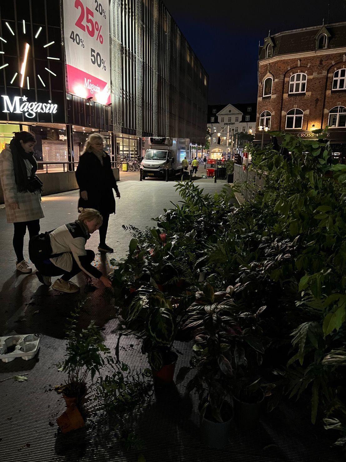 Om natten bliver planterne til pop-up-junglen sat op i Aarhus midtby ved Magasin