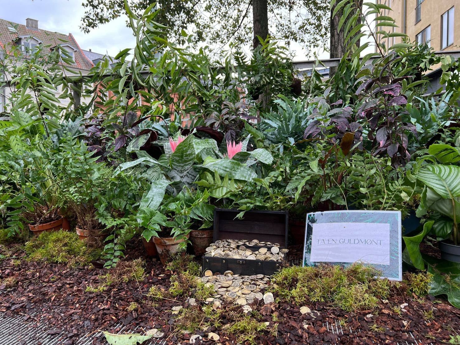 Pop-up-junglen i Aarhus – tropiske planter omkring en skattekiste fuld af guldmønter og et skilt med teksten "Ta' en guldmønt"